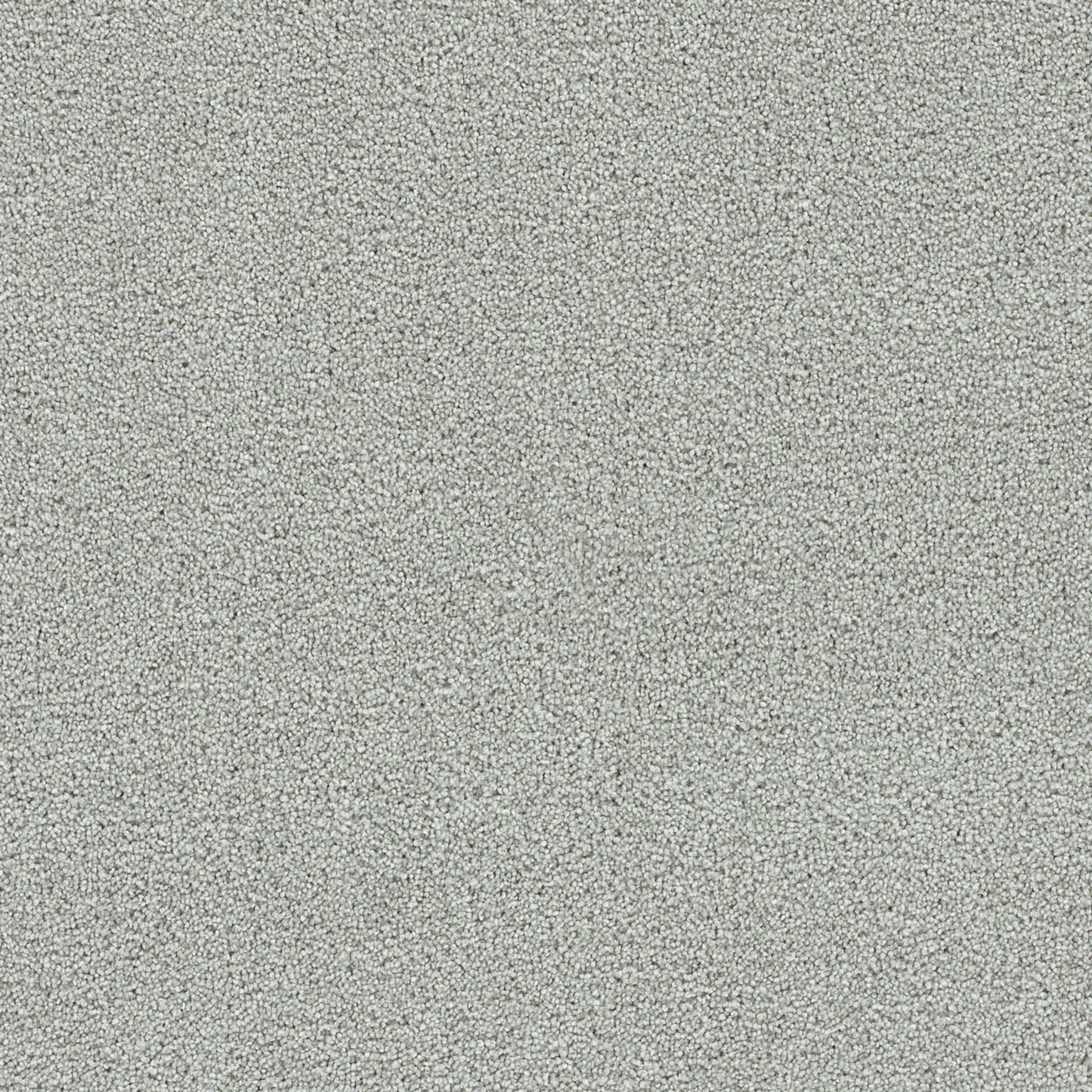 Clearwater I in Milestone Carpet