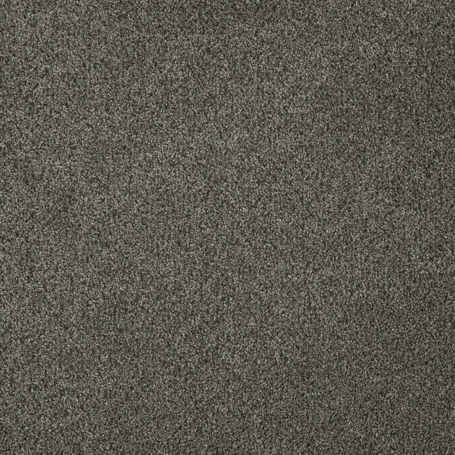 Newport I in Smoky Quartz Carpet