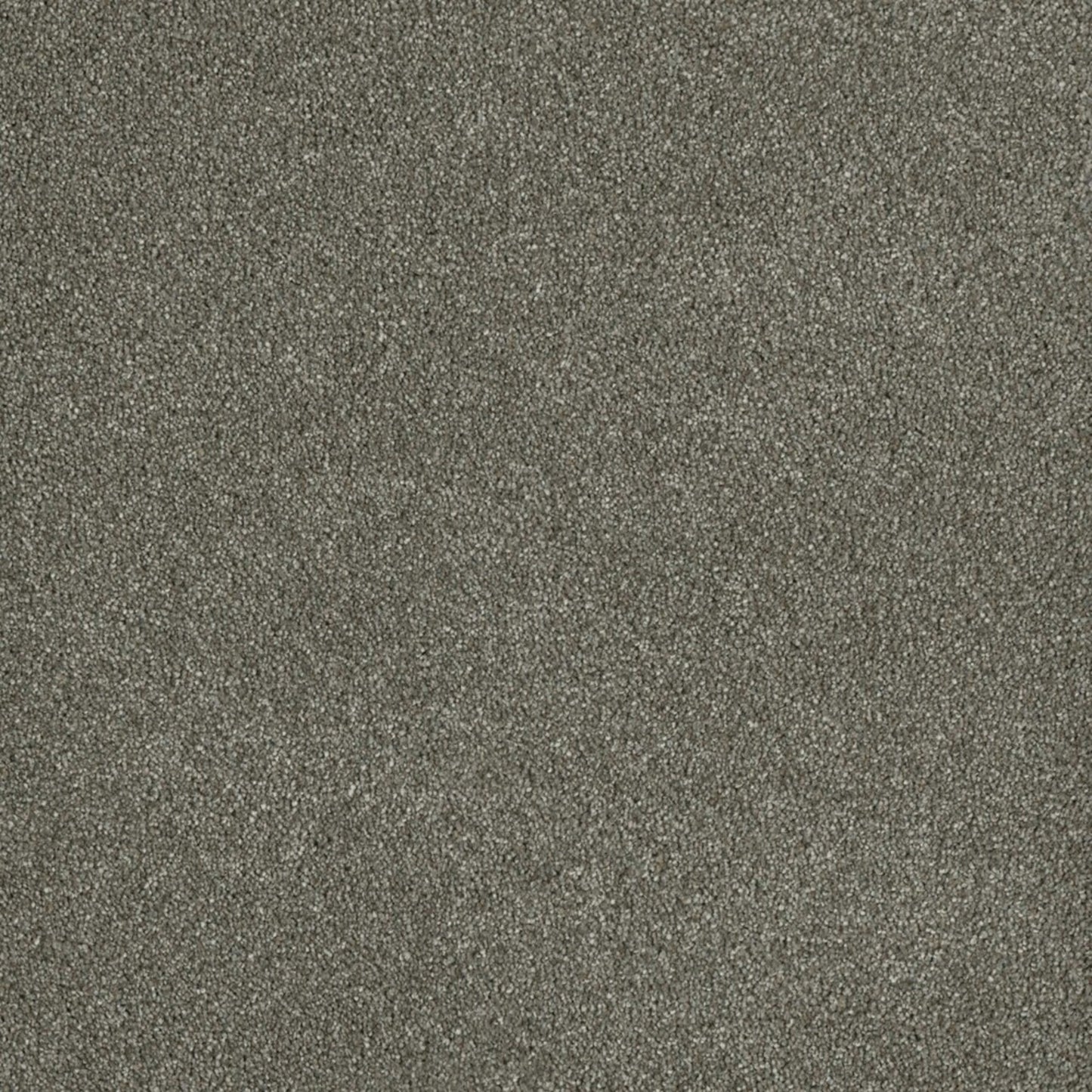 Newport II in Havana Carpet