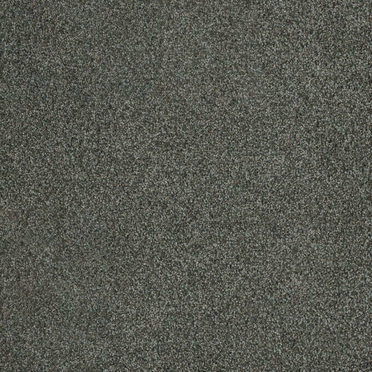 Newport III in Pavilion Carpet