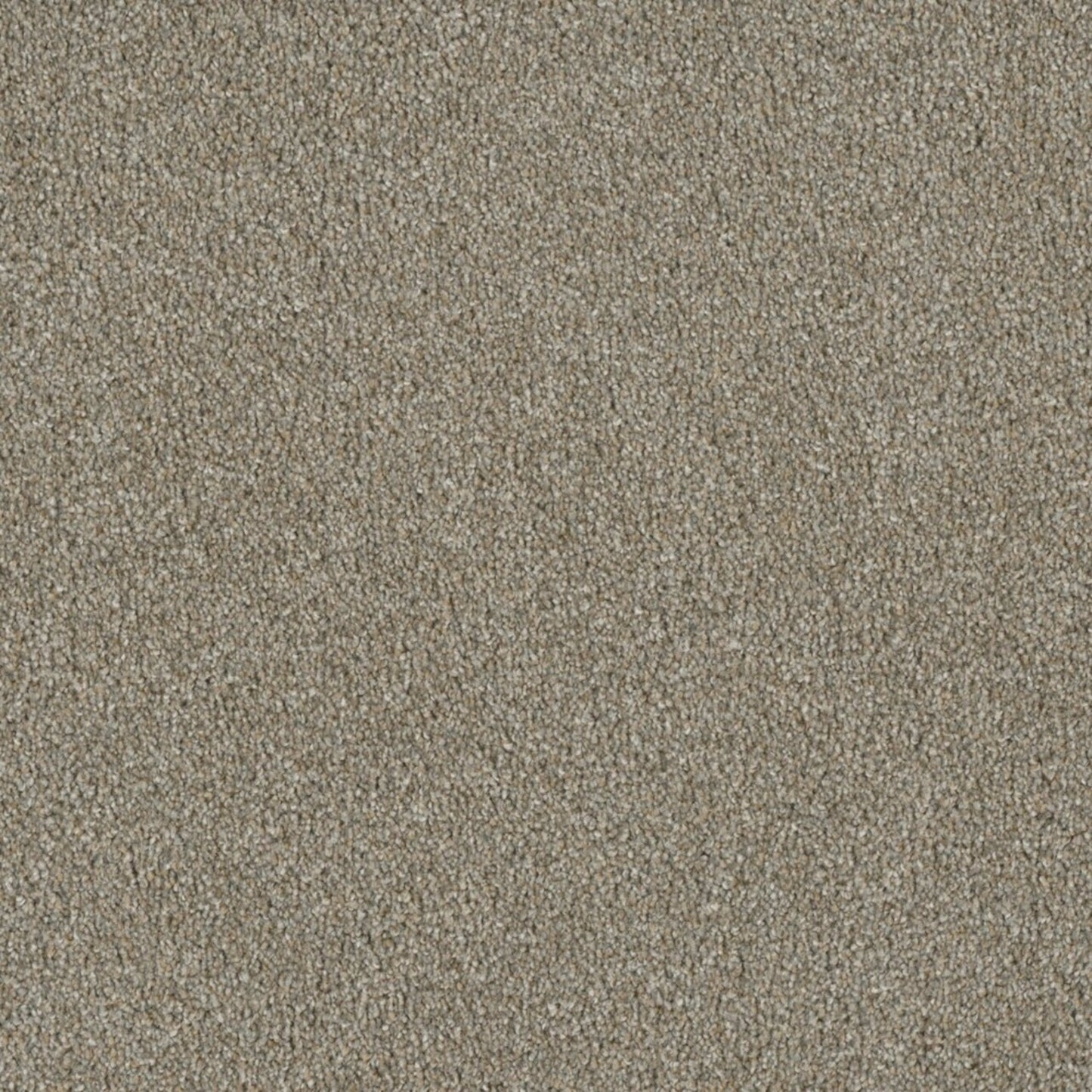 Profound I in Rhinestone Carpet