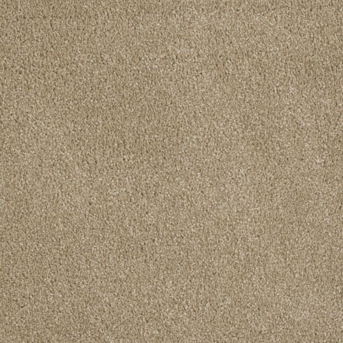 Profound I in Cashmere