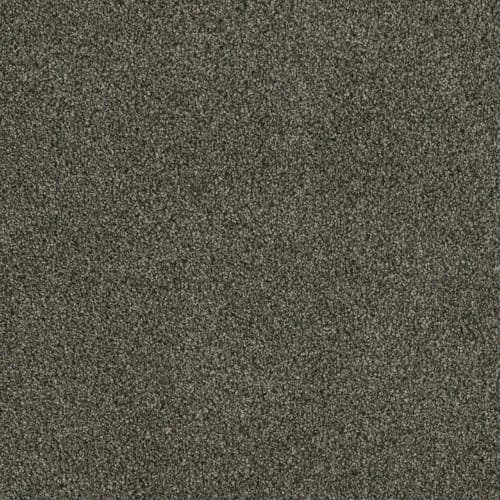 Profound II in Midnight Shadow