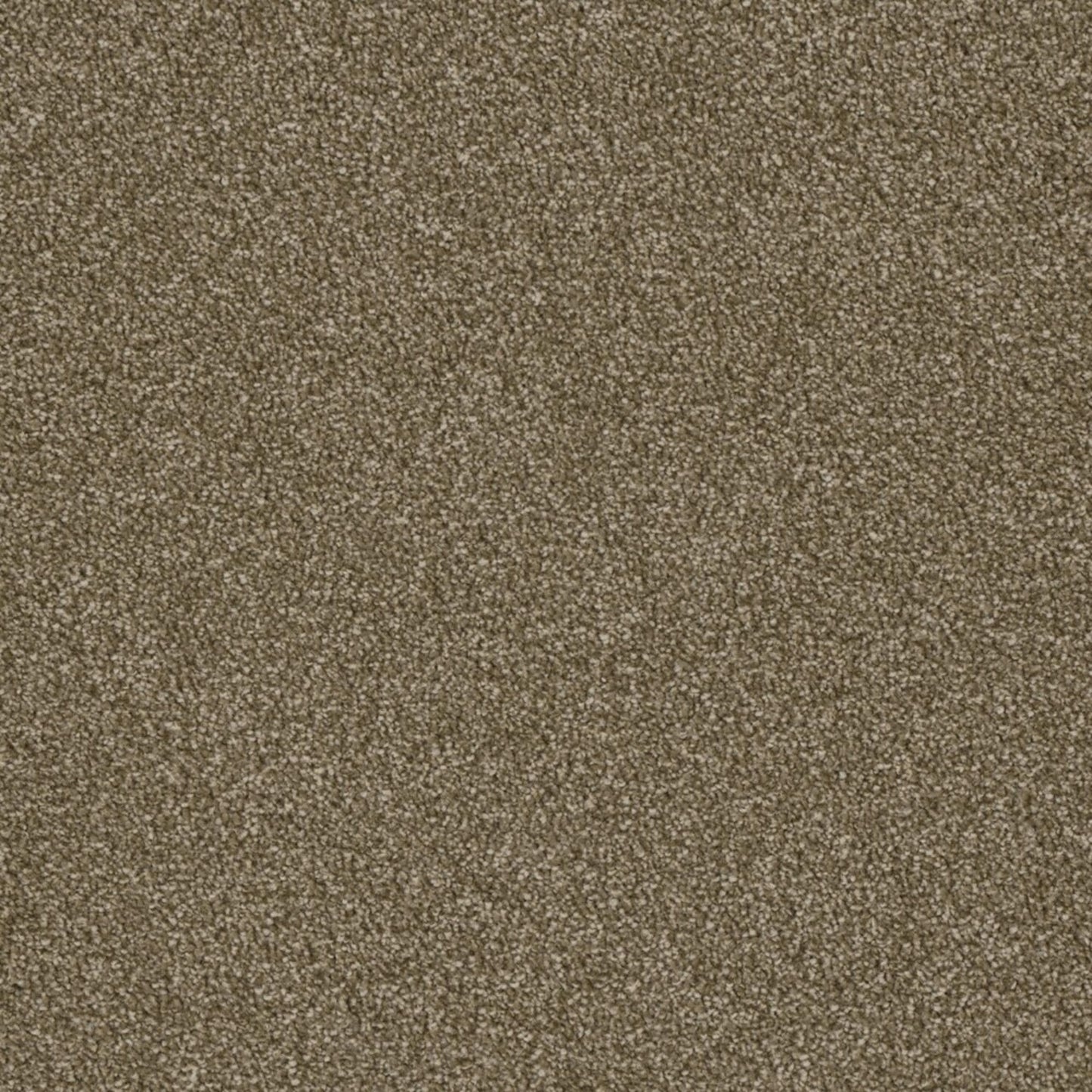 Profound II in Quail Carpet