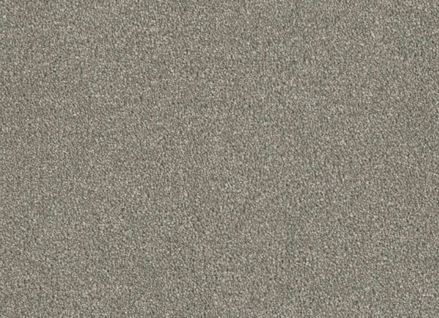 Profound II