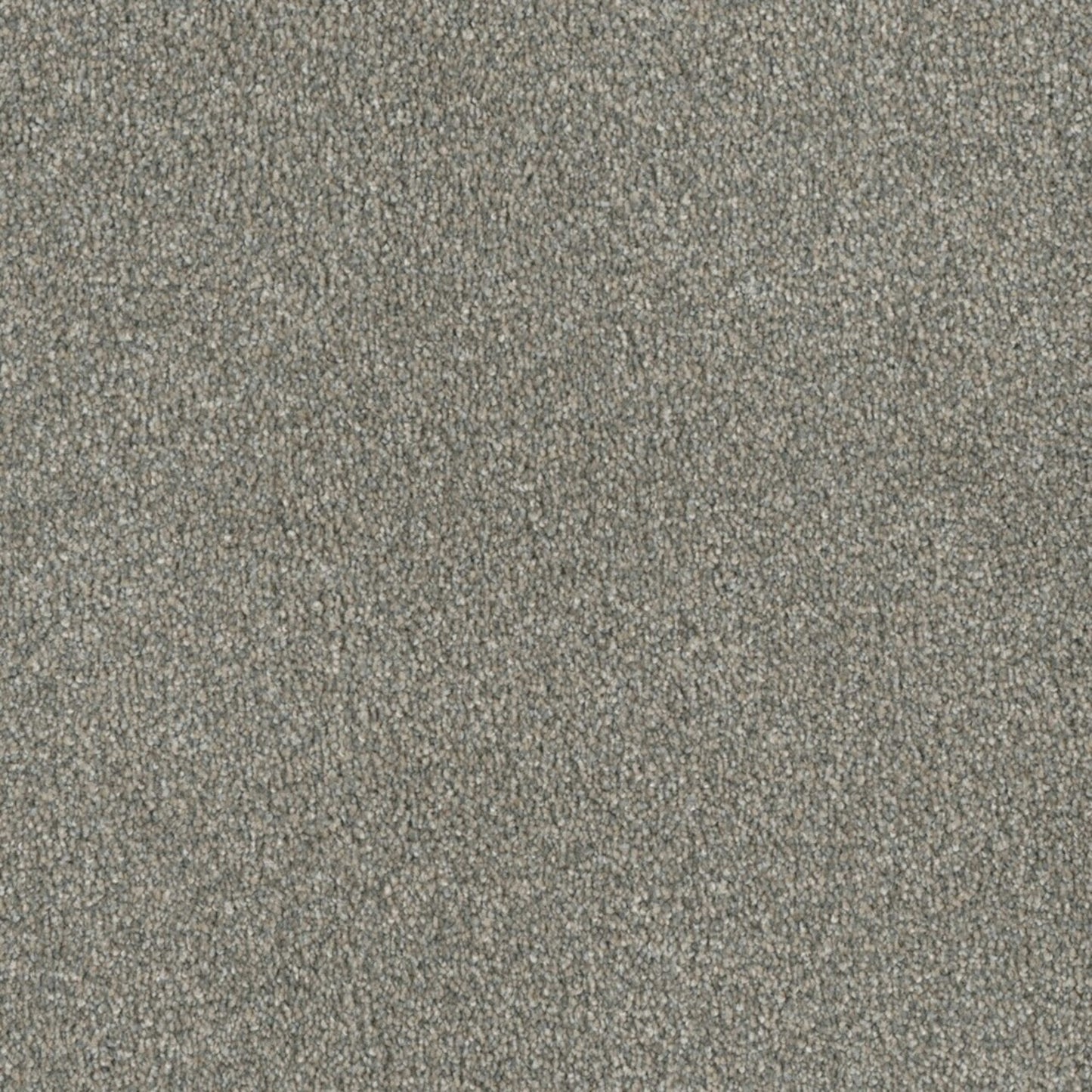 Profound III