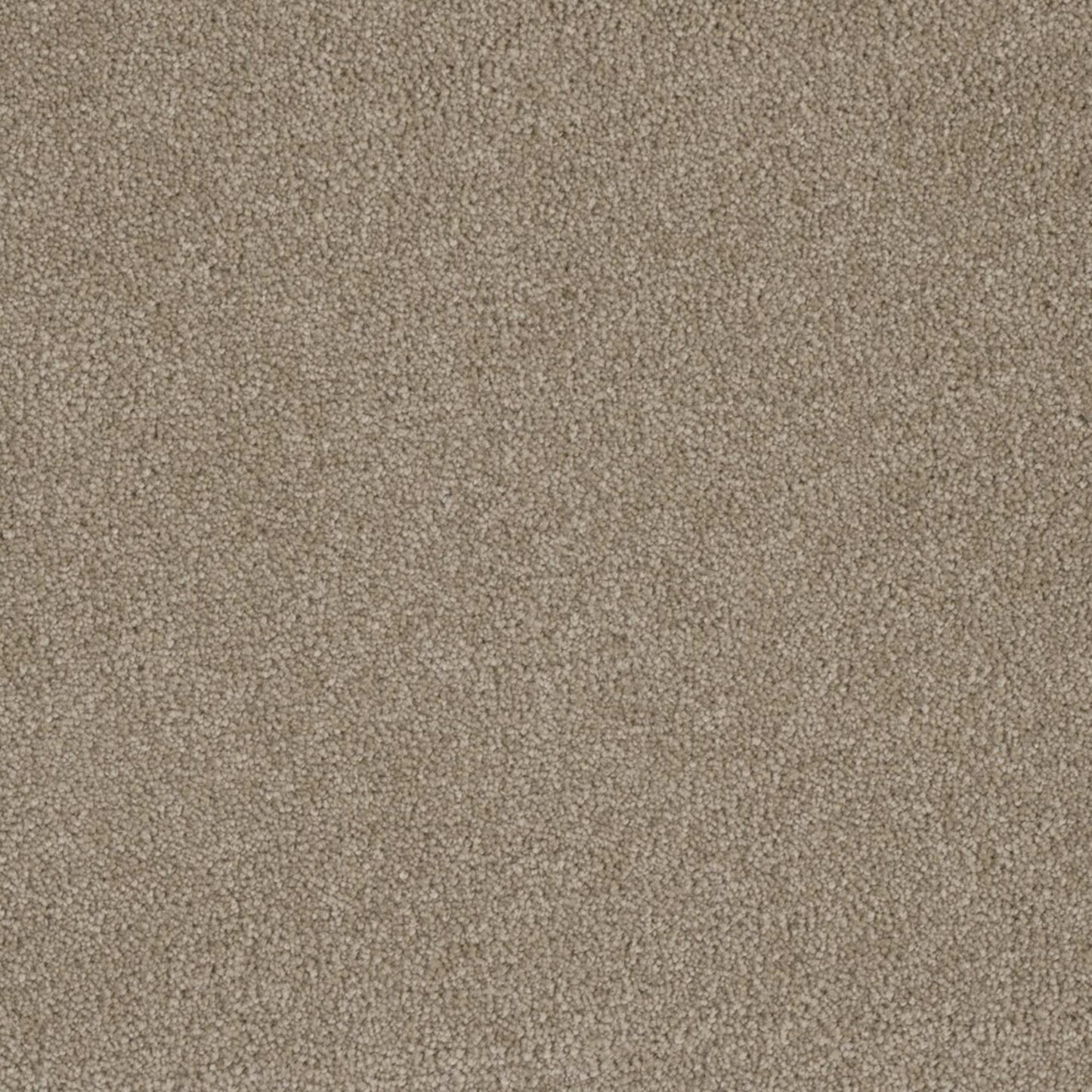 Profound III in Flax Beige Carpet
