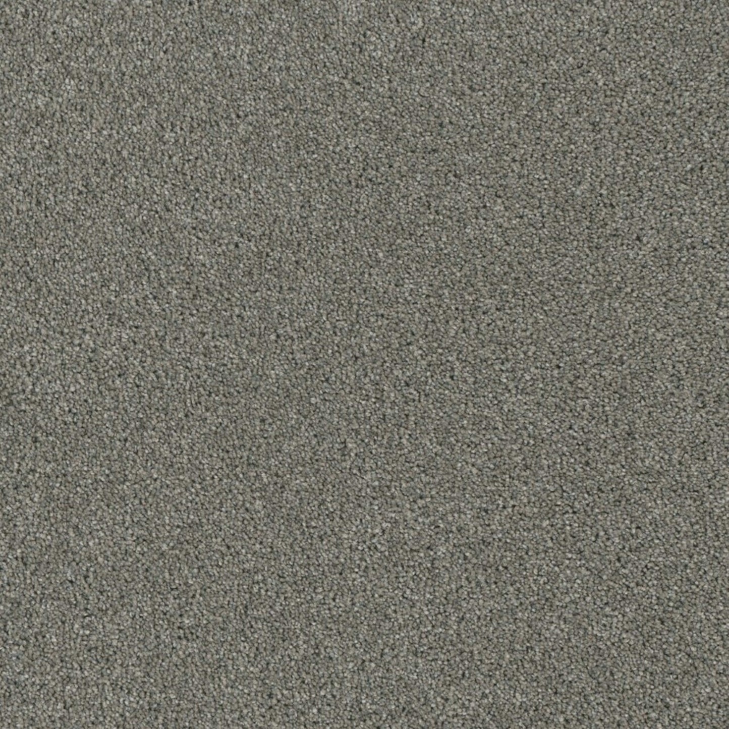 Profound III
