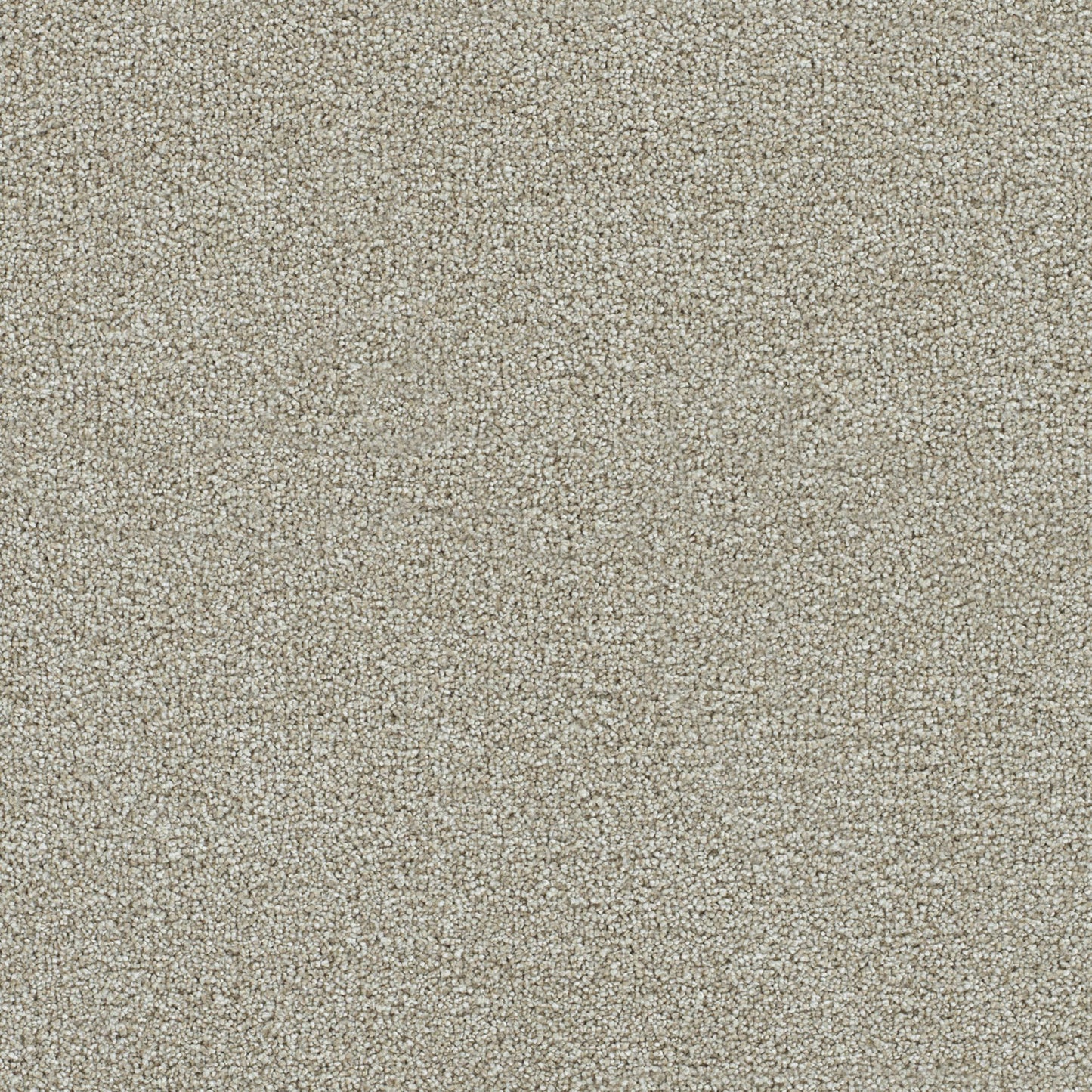 CLEARWATER II in Barnwood Carpet