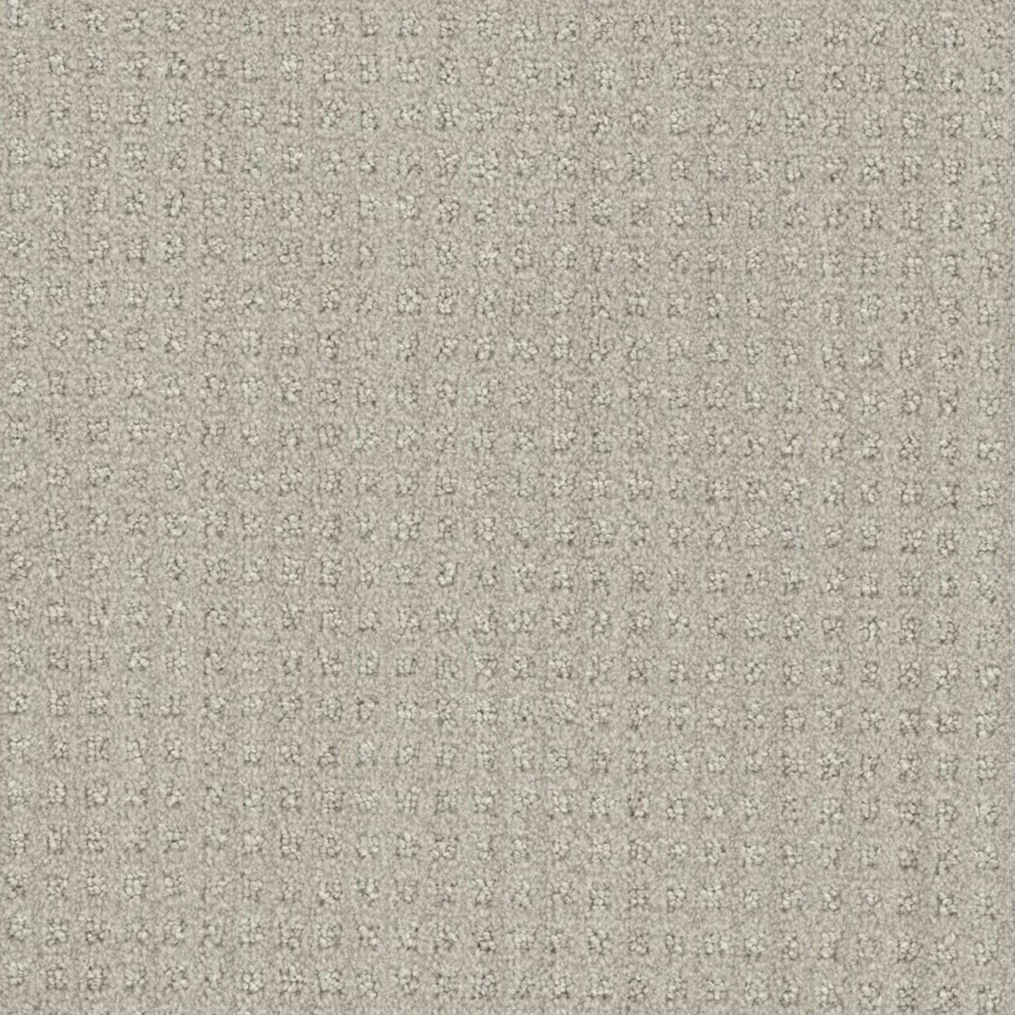 Emerson in Stone Spinning Carpet