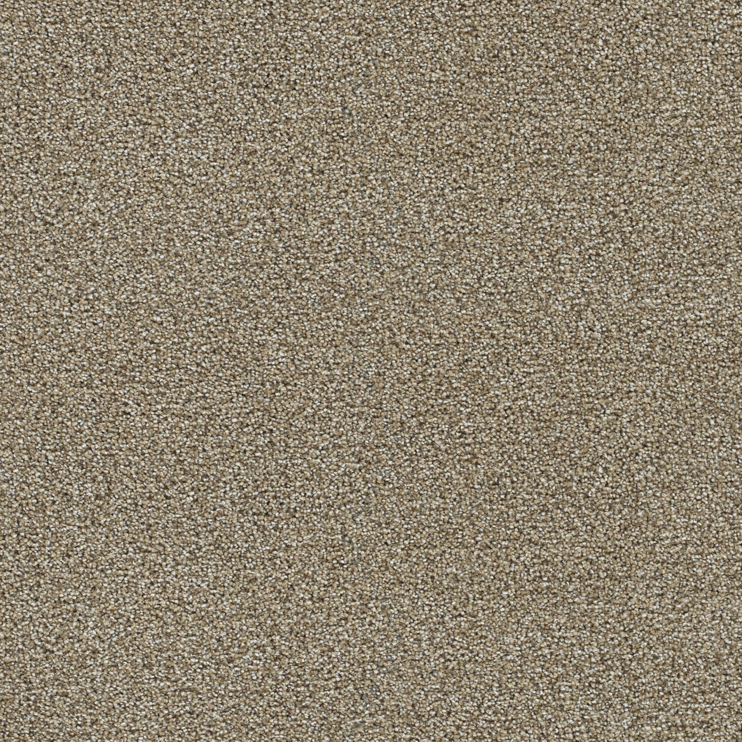 Clearwater III in Toasted Oat Carpet