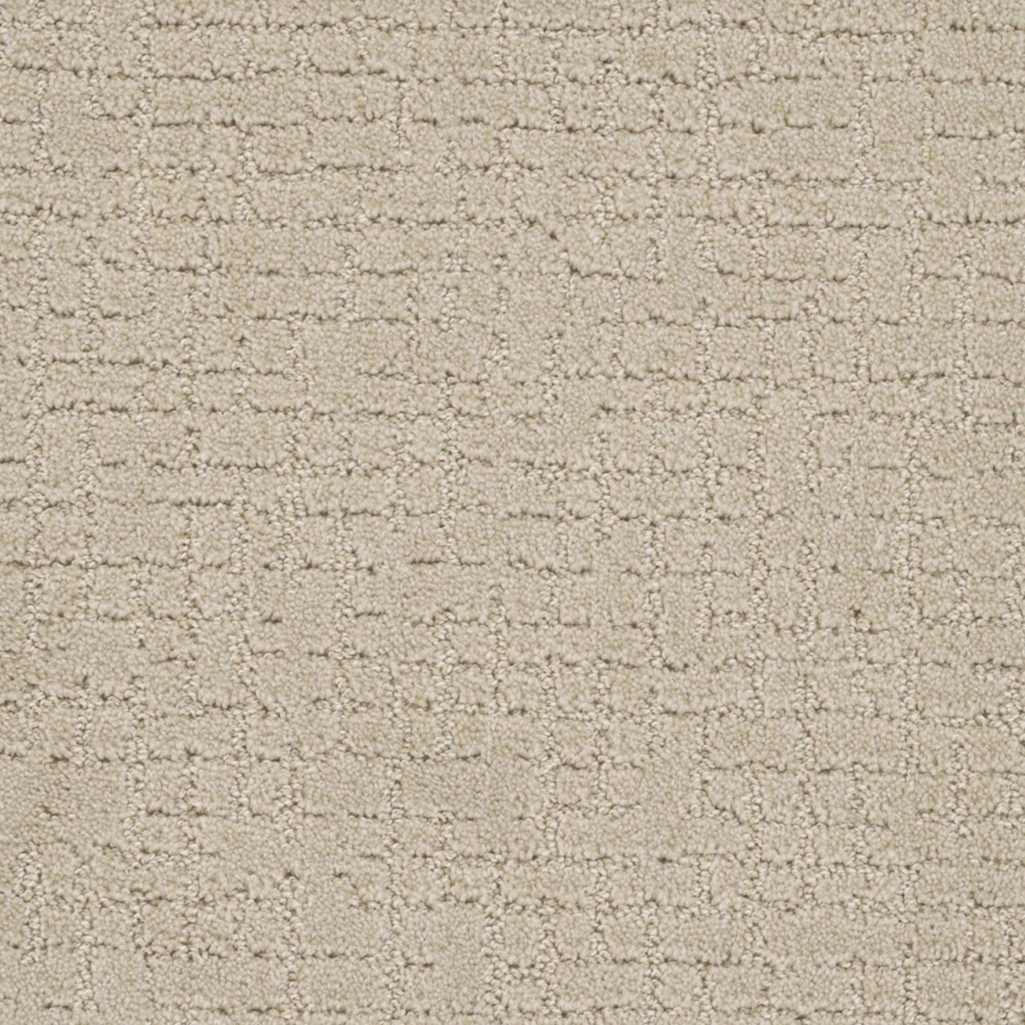Close Knit in Champagne Fizz Carpet