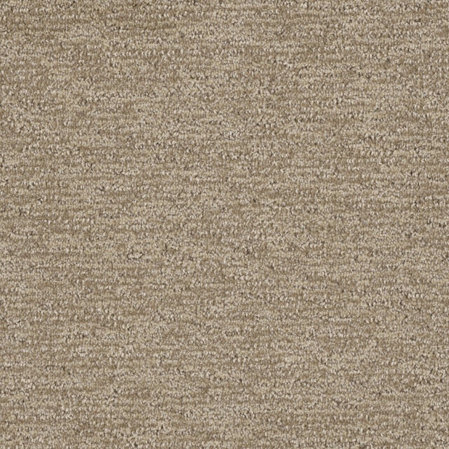 Natural Appeal in Shortbread Carpet