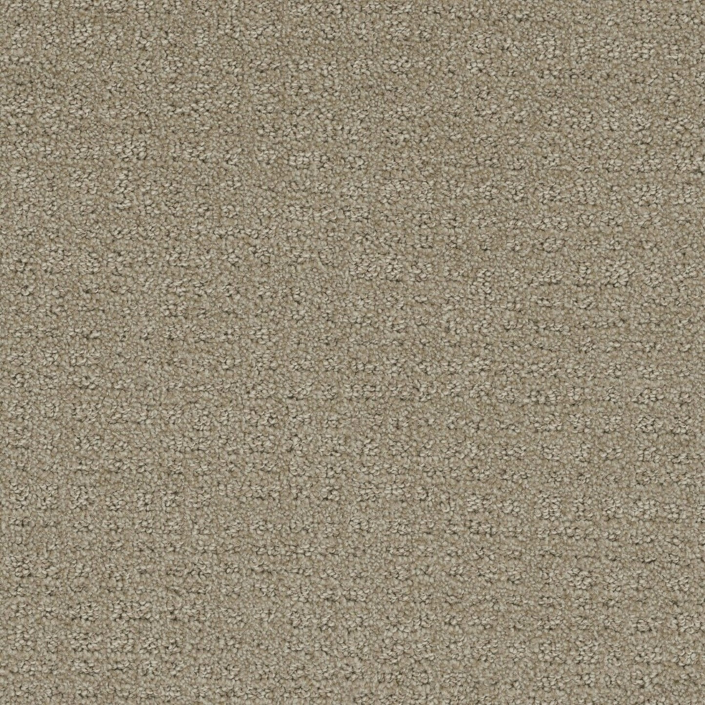 In Style in Fieldcrest Carpet