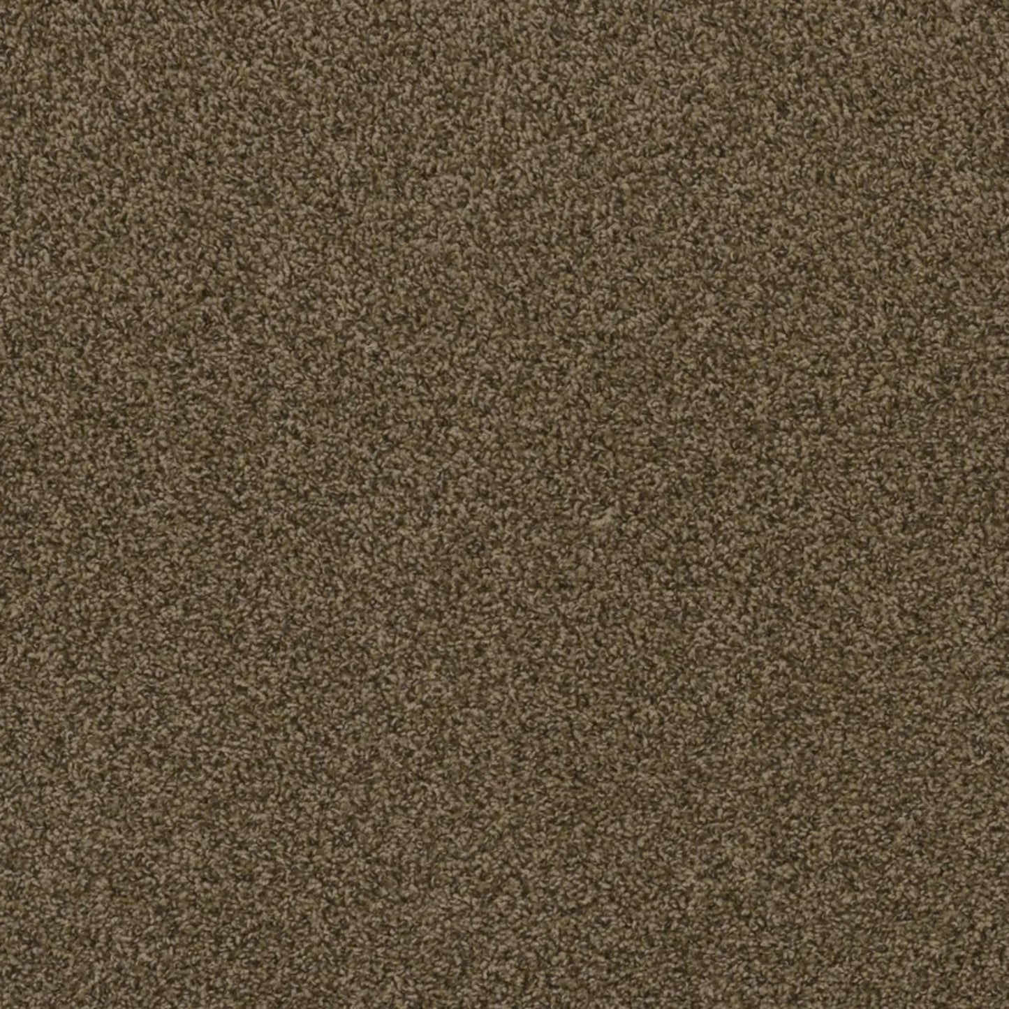 Hot Pursuit in Agate Carpet