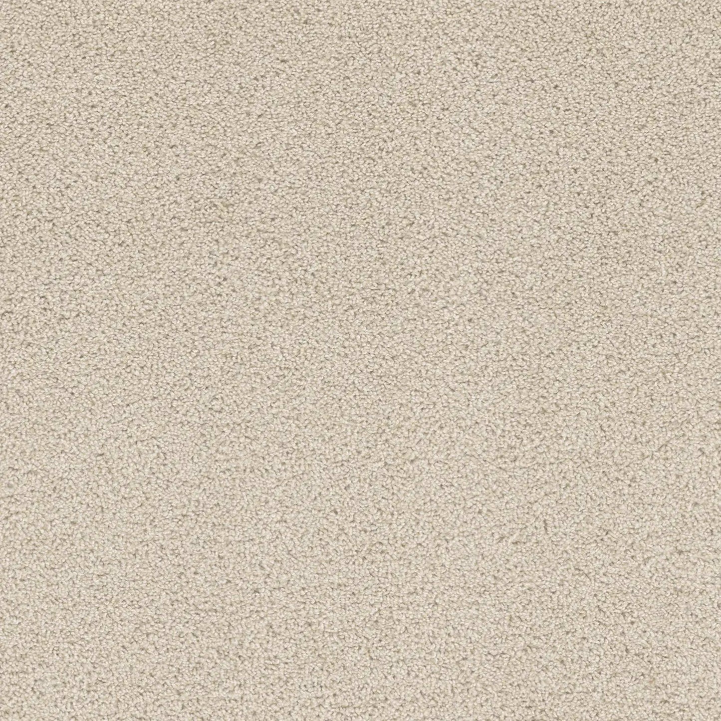 Beach Club II in Champagne Fizz Carpet