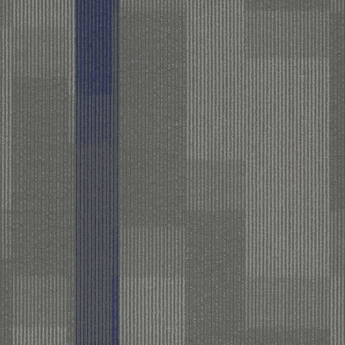 Amplify Tile in 3135