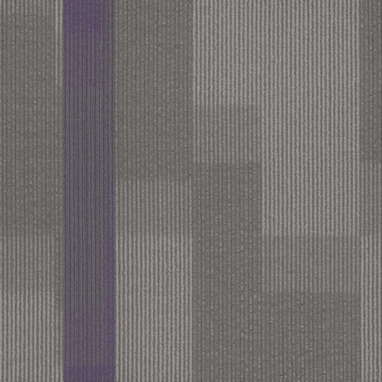 Amplify Tile