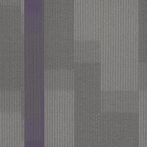 Amplify Tile in 3136