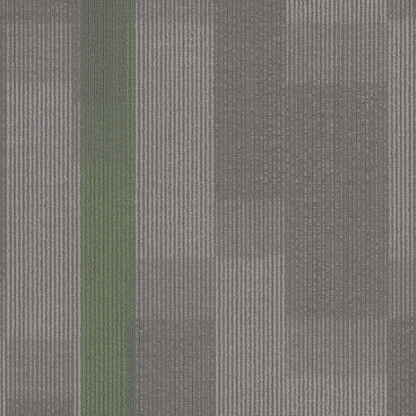Amplify Tile