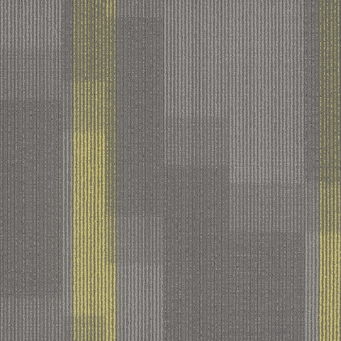 Amplify Tile