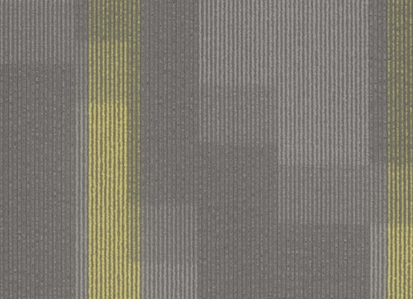 Amplify Tile