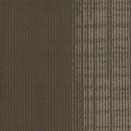 Element Plank in 3052