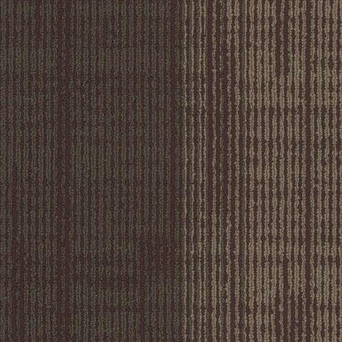 Element Plank in 3058