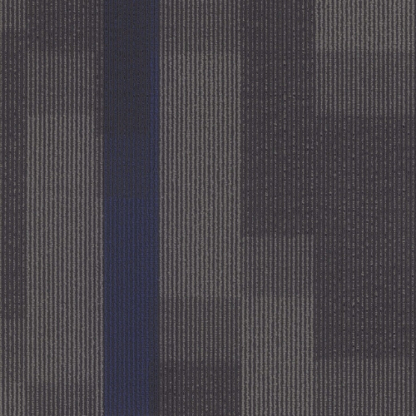 Magnify Tile