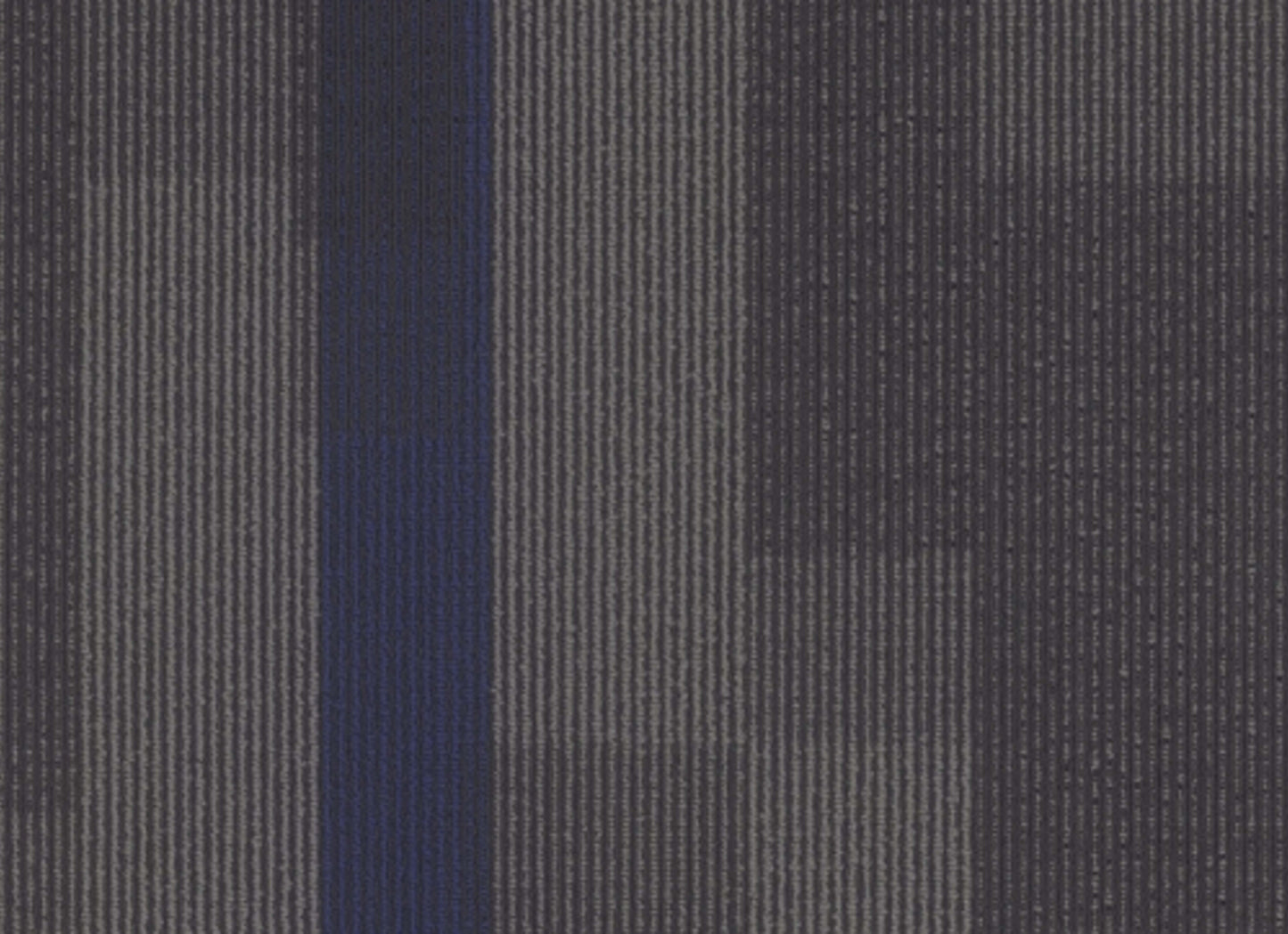 Magnify Tile