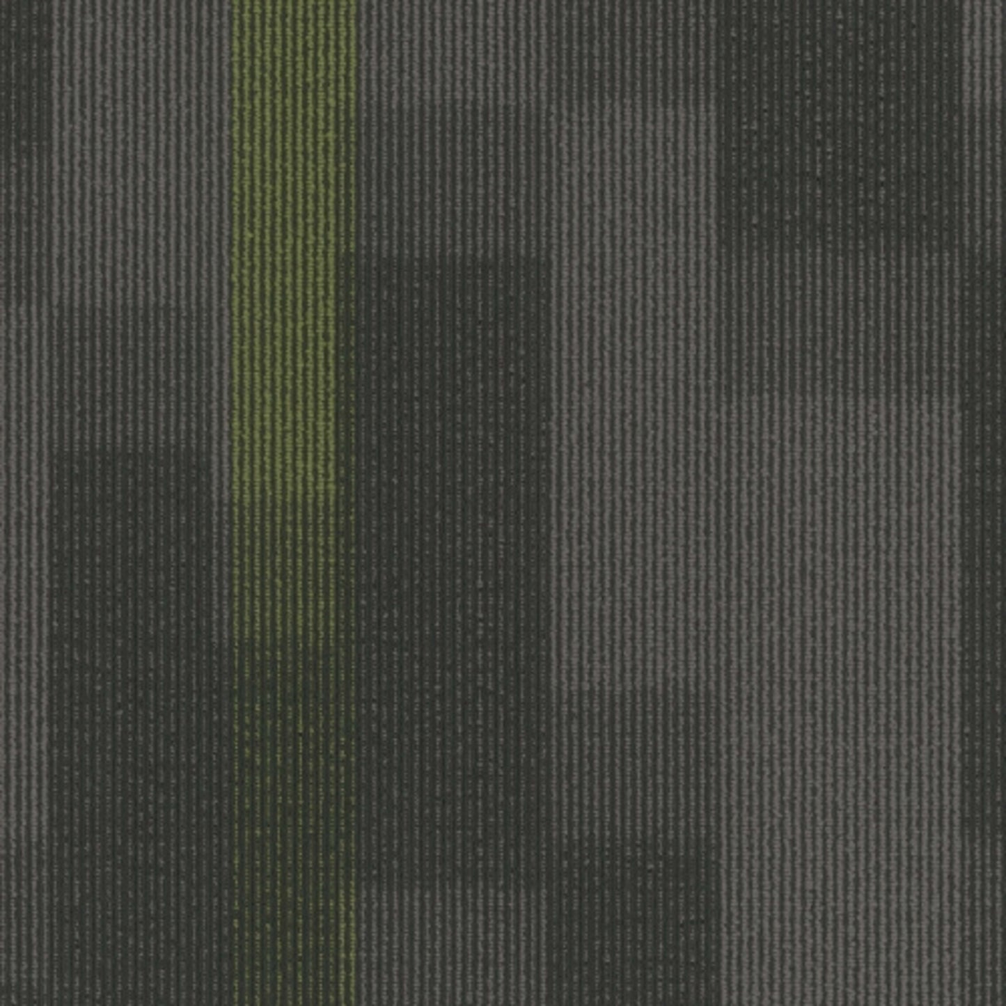 Magnify Tile