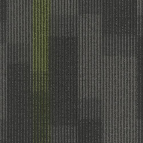 Magnify Tile in 3147