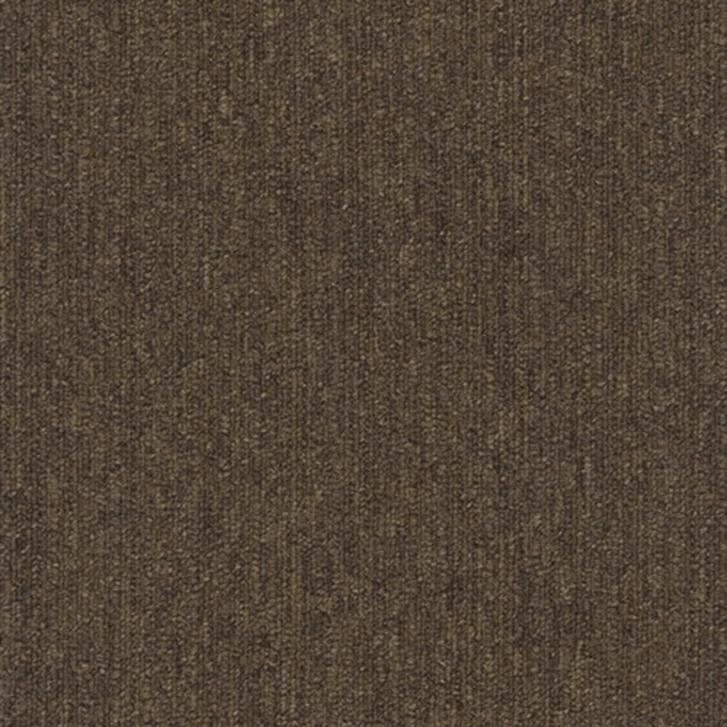 Colorpoint Plank