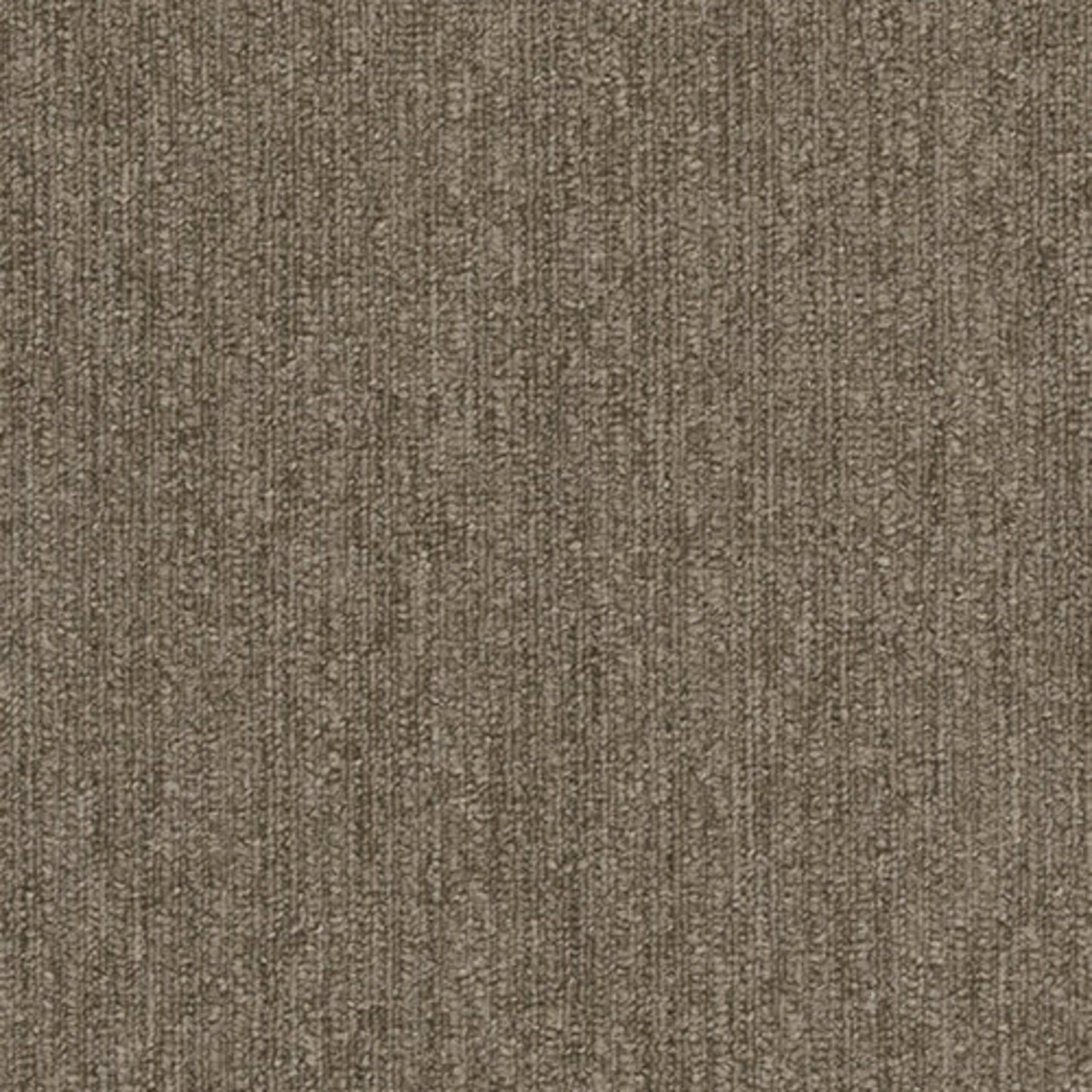 Colorpoint Plank in Granola Carpet Tile
