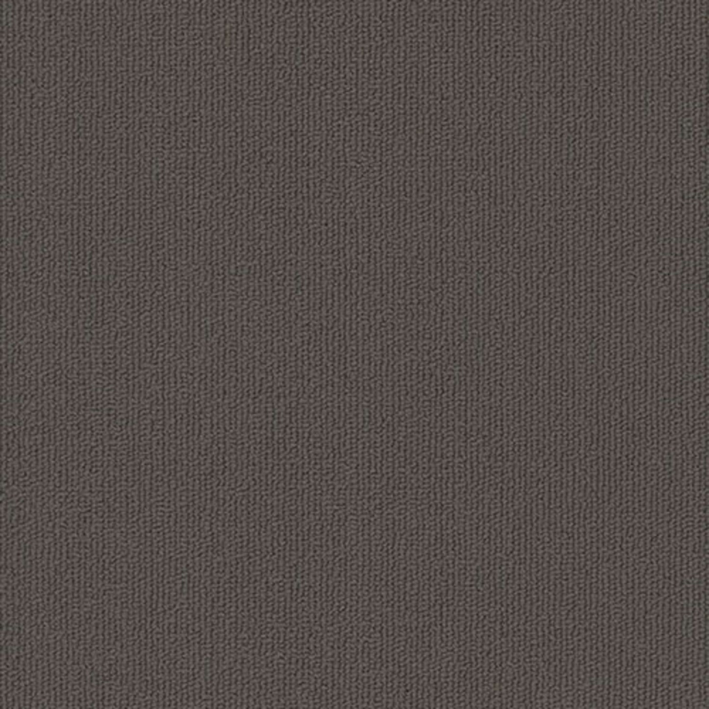 Colorburst Plank