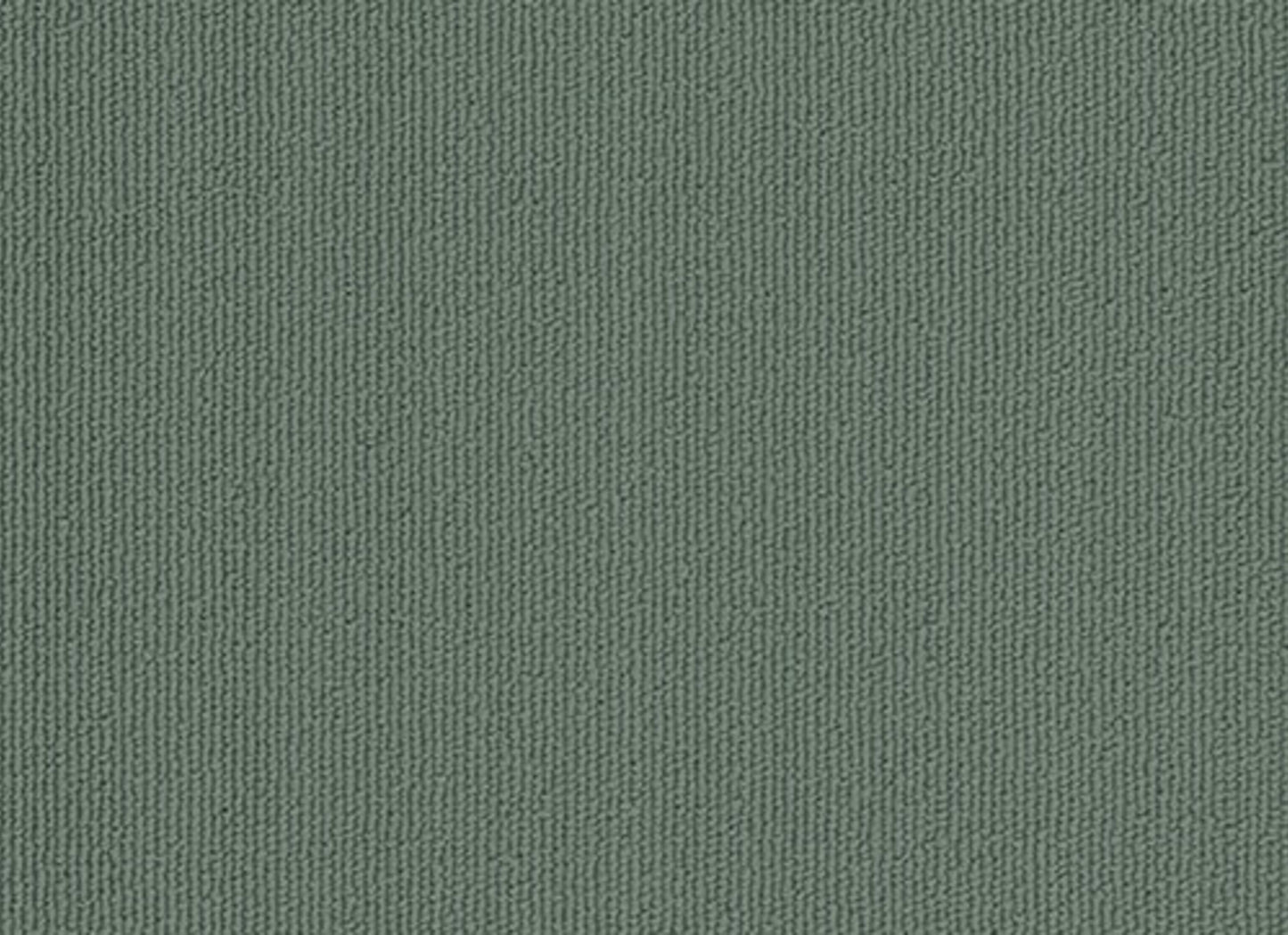 Colorburst Plank