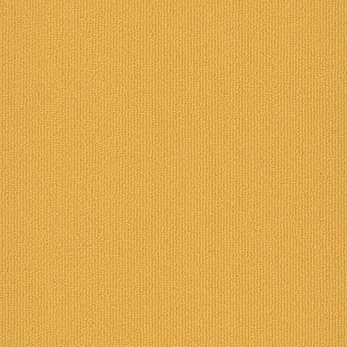 Colorburst Plank in Medallion
