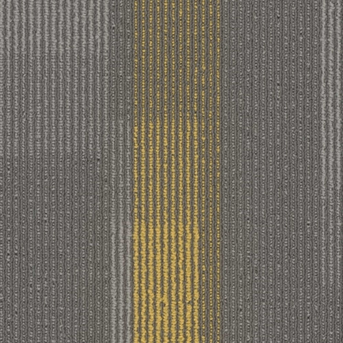 Amplify Plank