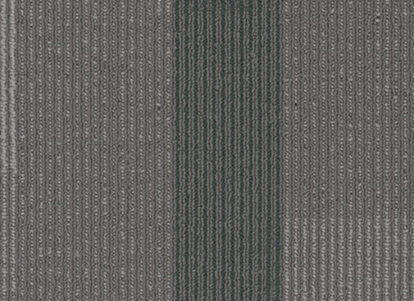 Amplify Plank