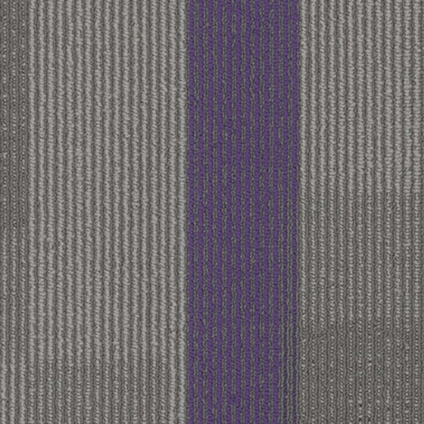 Amplify Plank