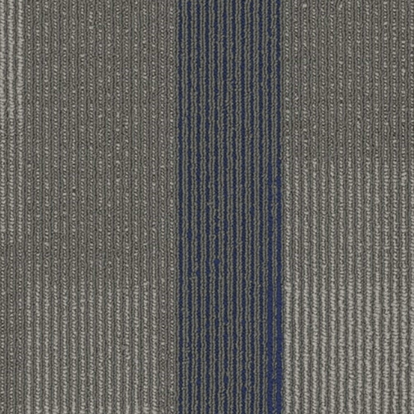 Amplify Plank
