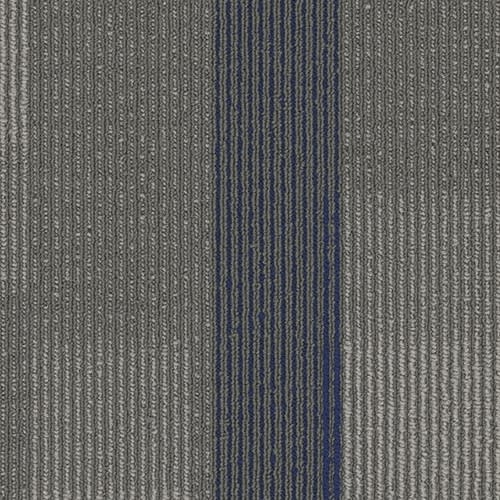 Amplify Plank in 3135