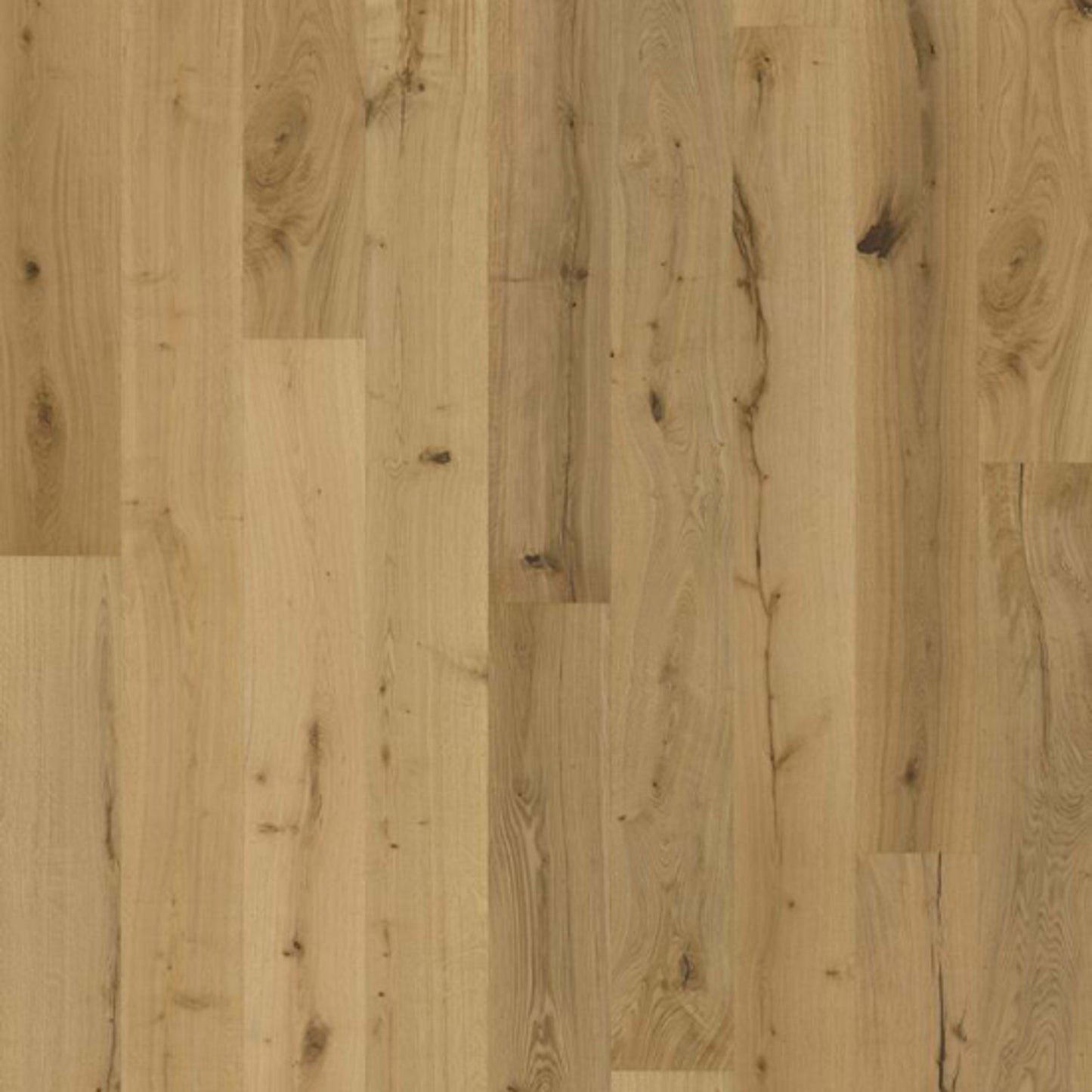 Texture Collection in Natur