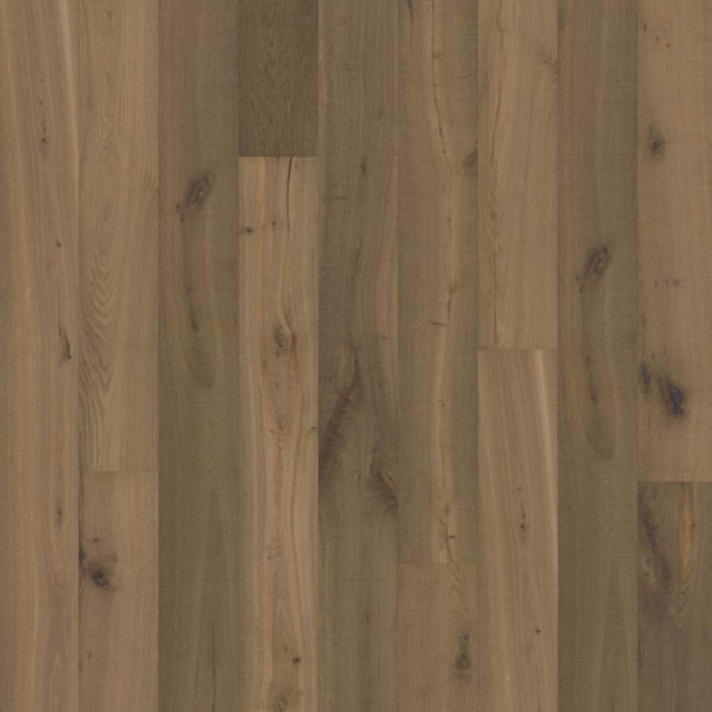 Texture Collection in Grau