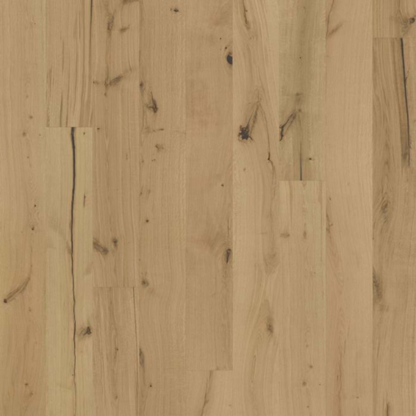 Texture Collection in Rohoptic