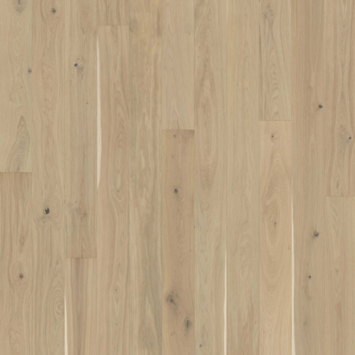 Lux Collection in Oak Eggshell