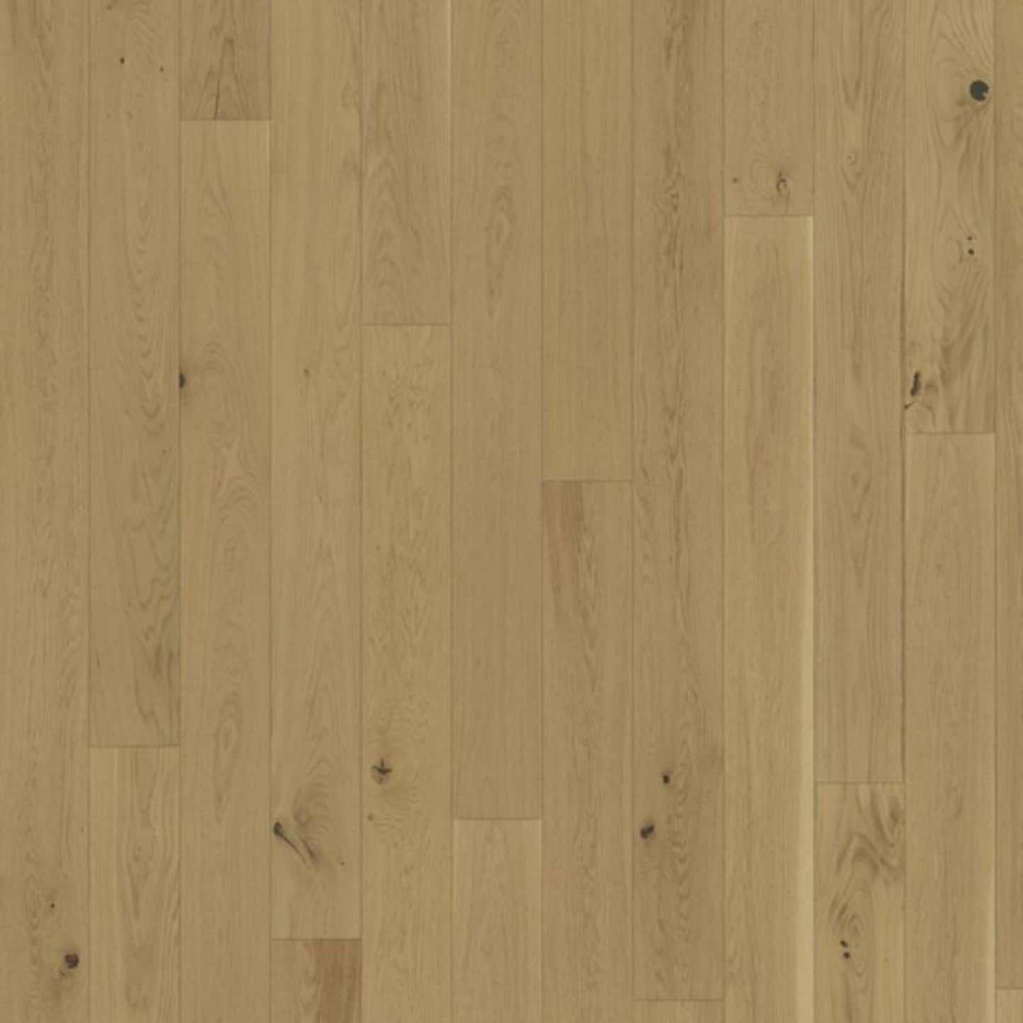 Lux Collection in Oak Biscotti