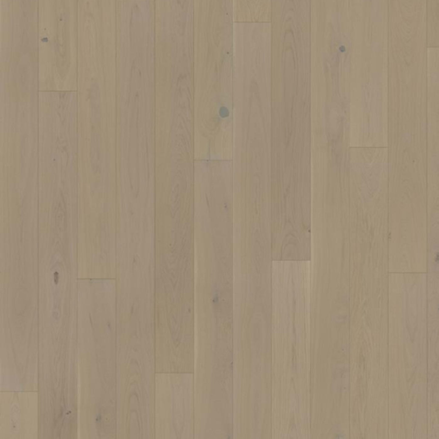 Lux Collection in Oak Crayon
