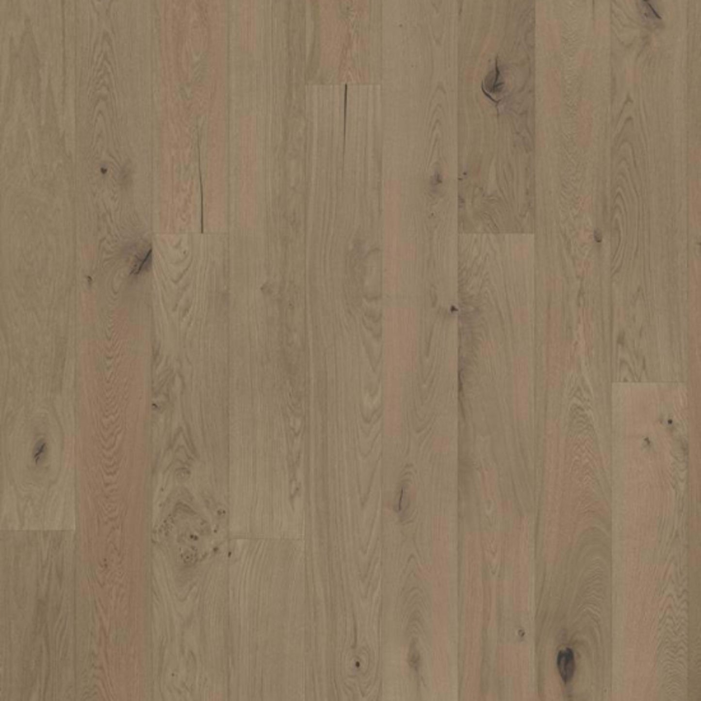 Beyond Retro Collection in Frozen Hazelnut Plank