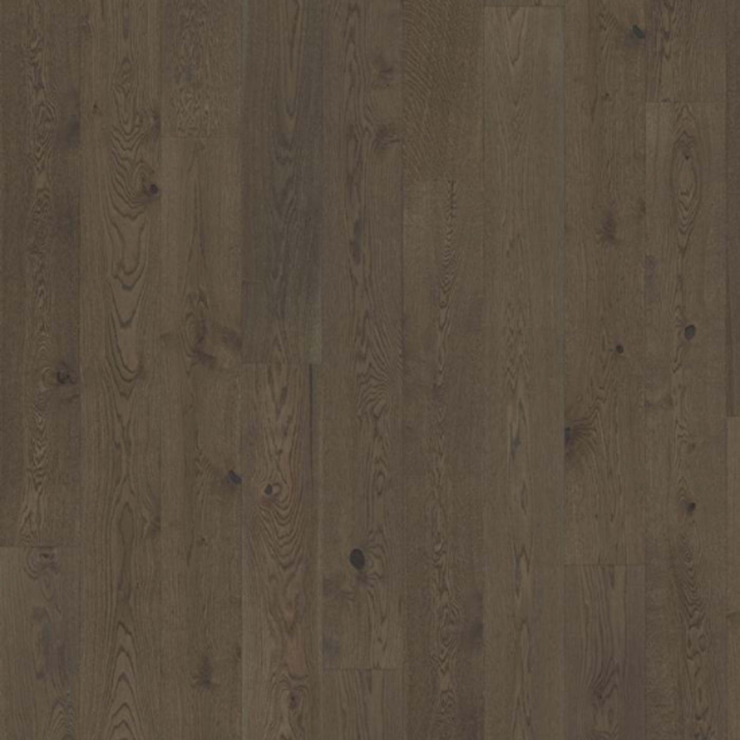 Beyond Retro Collection in Charcoal Light Plank